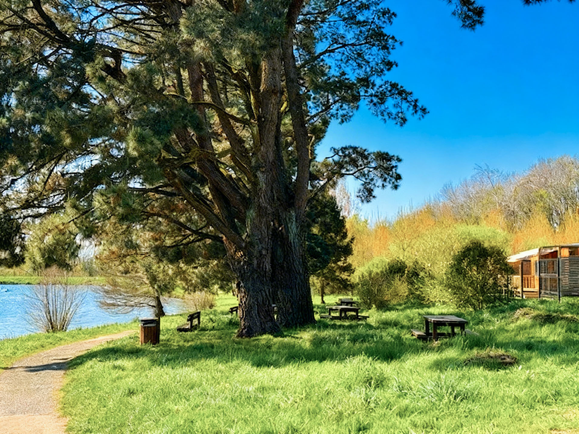 LAC pouzauges camping lac vue 2