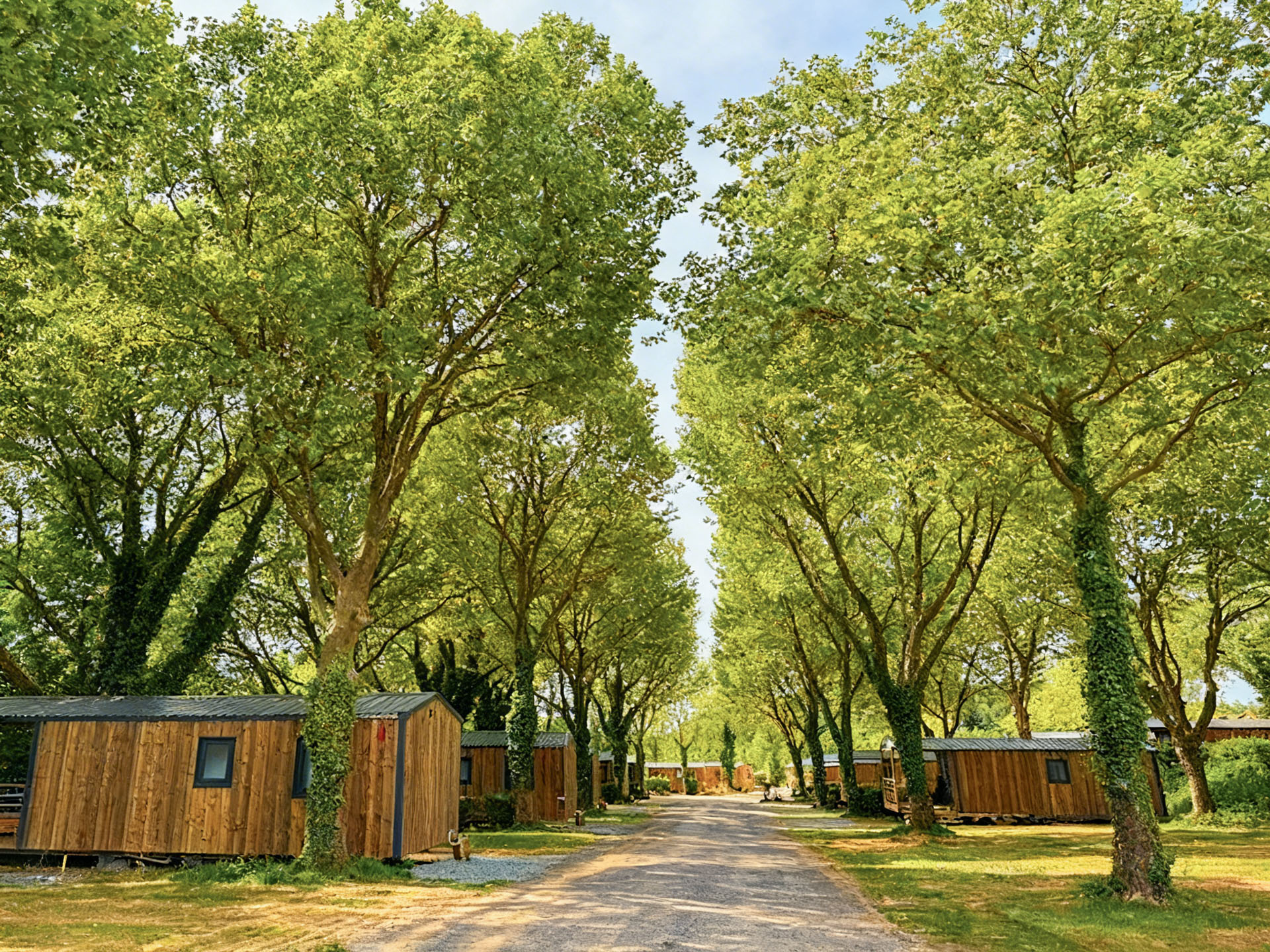 pouzauges camping mobilhome nature allée